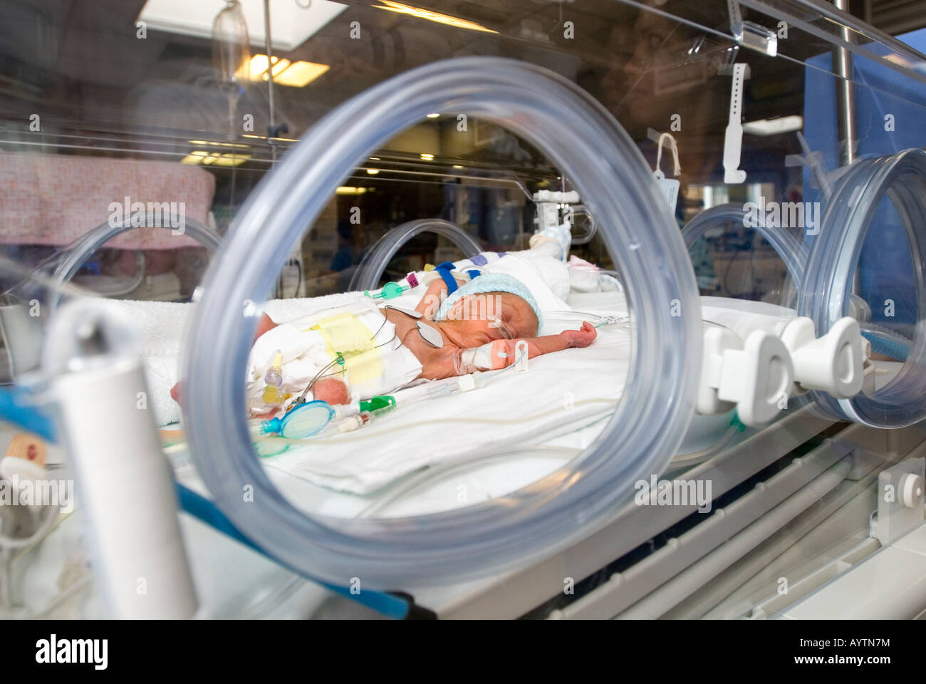 Bebe Premature En Couveuse Photo Stock Alamy