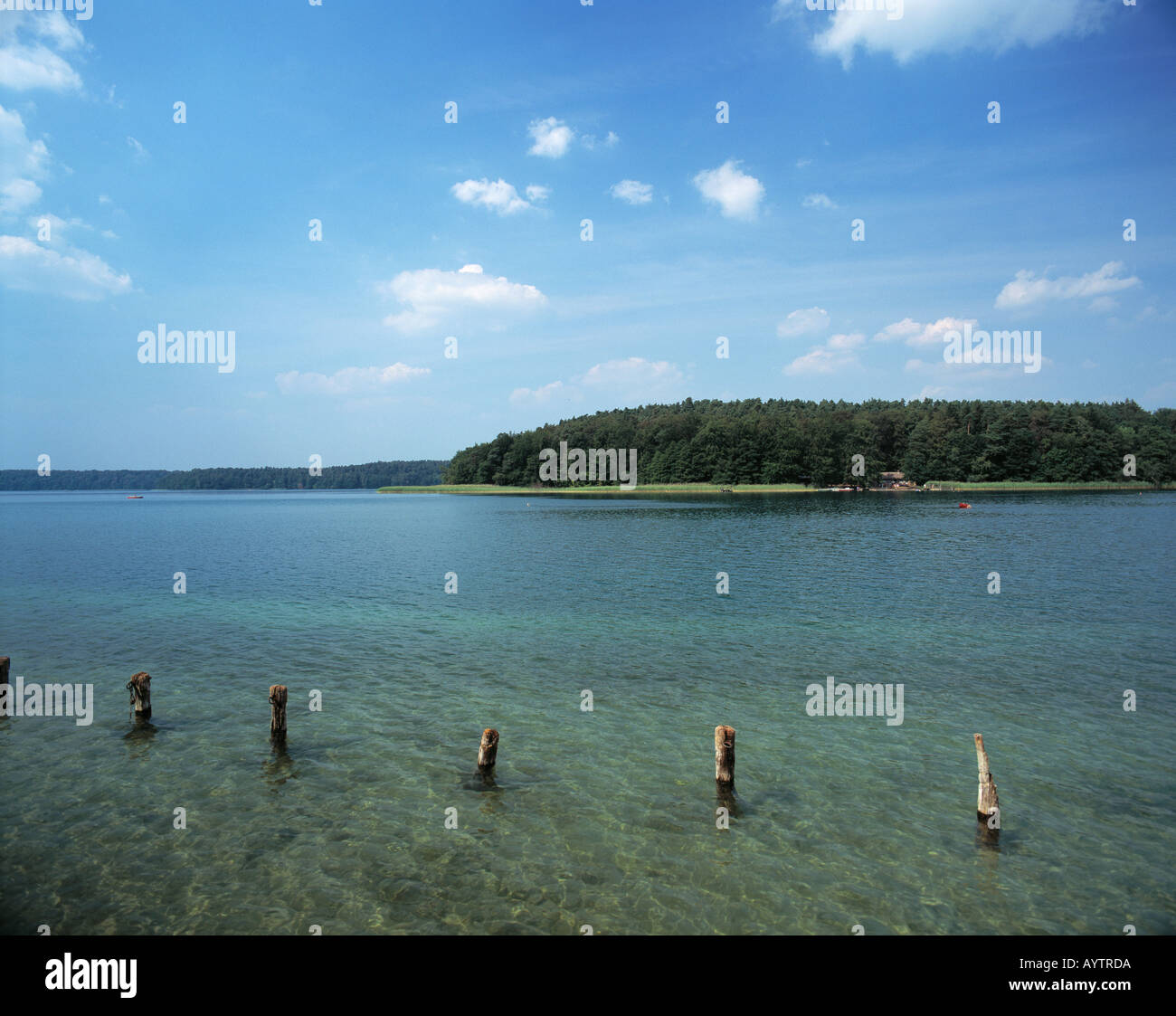 Grosser Stechlinsee dans der Mecklenburgischen Mecklembourgeoise bei 33, Brandebourg Banque D'Images