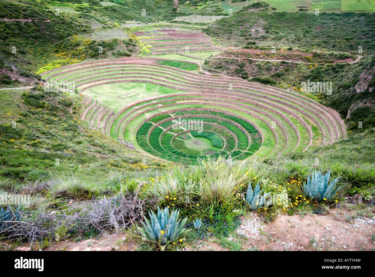 Terrasses de Moray, récolte le Pérou, à l'origine construit par les Incas Banque D'Images