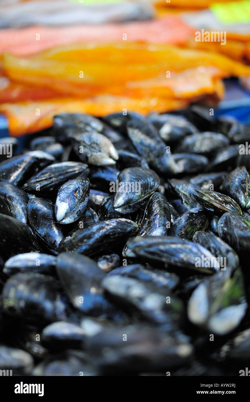 Marché alimentaire à l'intérieur de moules Banque D'Images