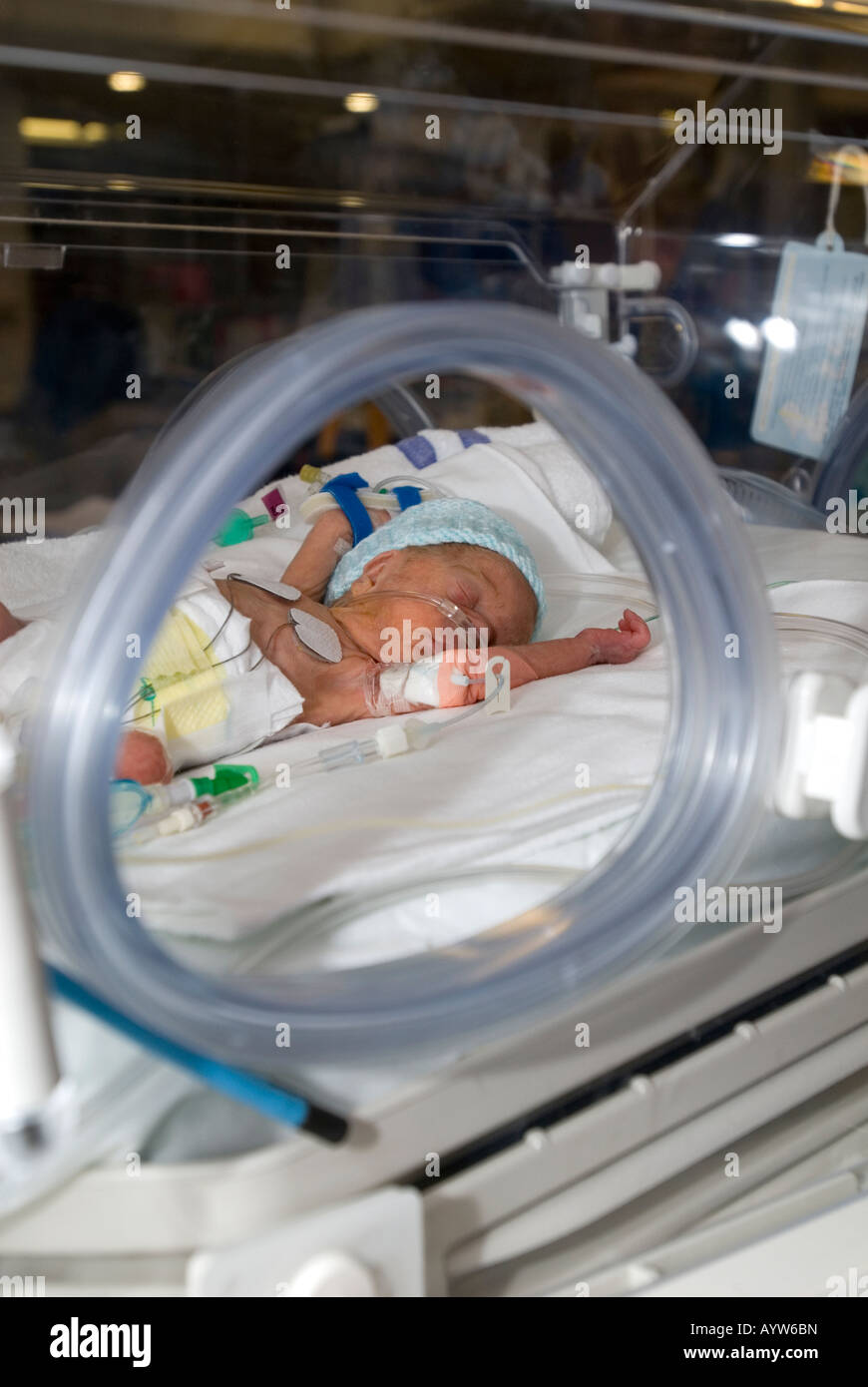 Bebe Premature En Couveuse Photo Stock Alamy