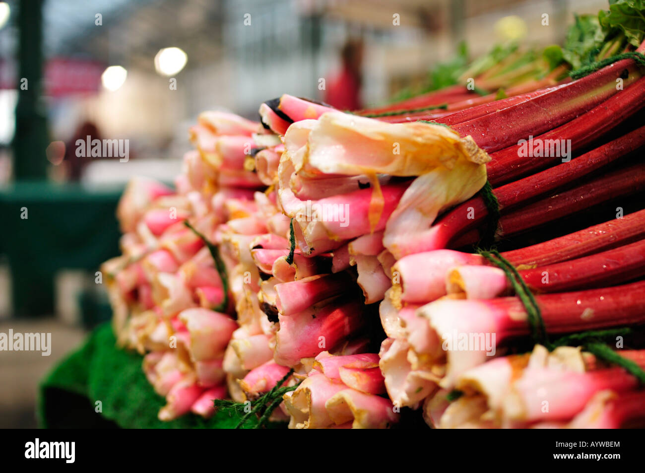 La rhubarbe attachés ensemble assis sur le marché des fermiers à l'intérieur de blocage Banque D'Images