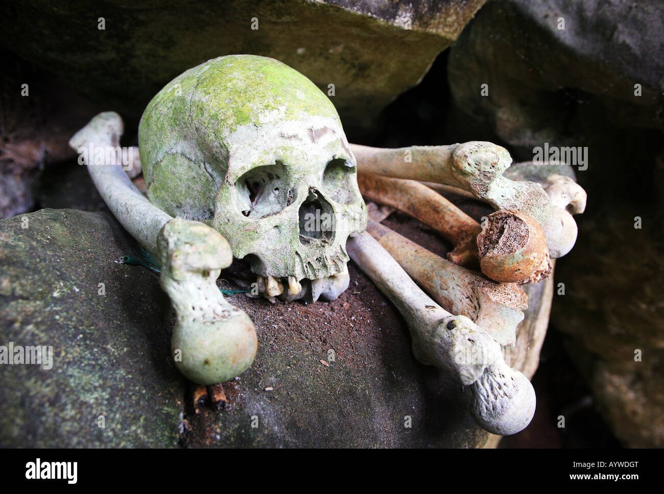 Indonésie : crâne et os dans une chambre funéraire des tombes dans les grottes de l'île de Sulawesi, Londa Banque D'Images