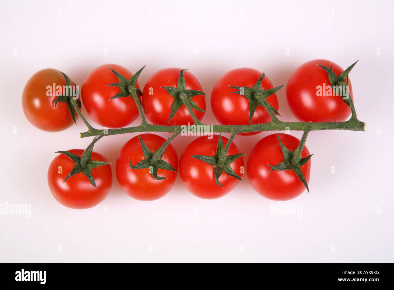 Les tomates sur la vigne Banque D'Images