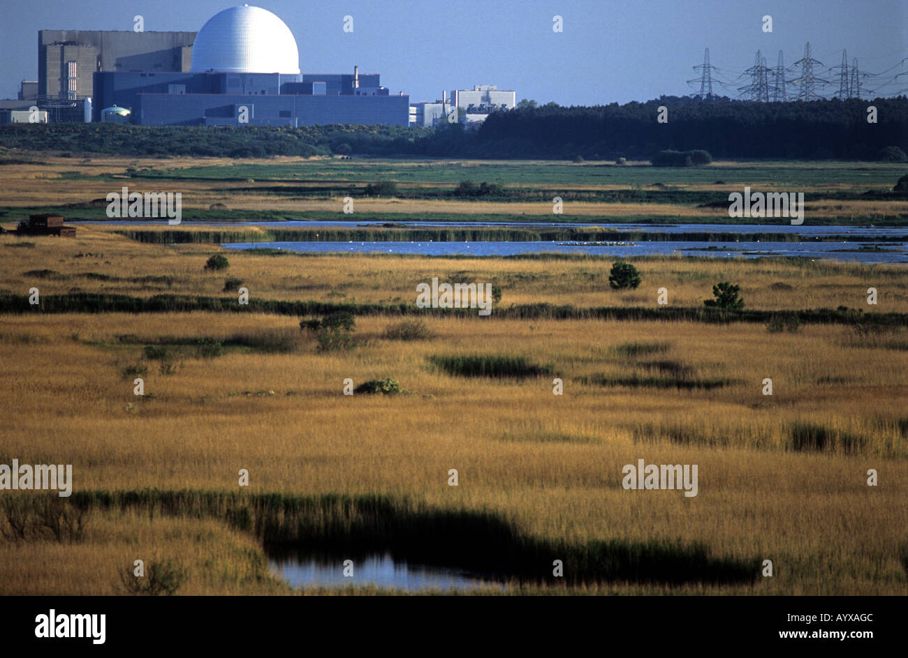 Réserve naturelle de Minsmere RSPB près de la centrale nucléaire de Sizewell B, Suffolk, Royaume-Uni. Banque D'Images