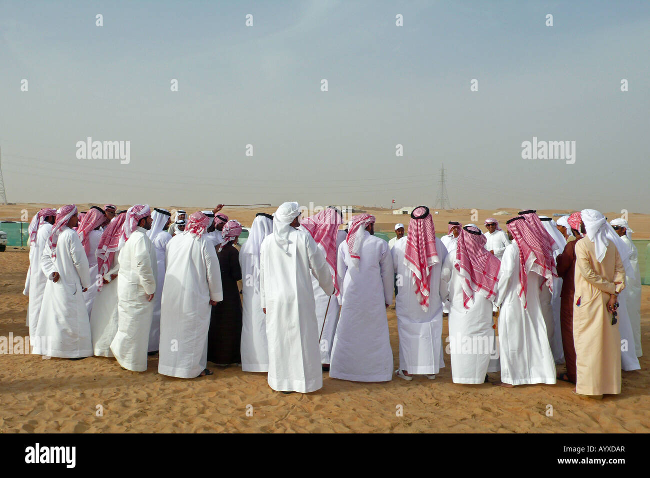 Des participants et des spectateurs masculins au festival Al Dhafra Camel dans le désert près de Madinat Zayed, Abu Dhabi, eau. Banque D'Images