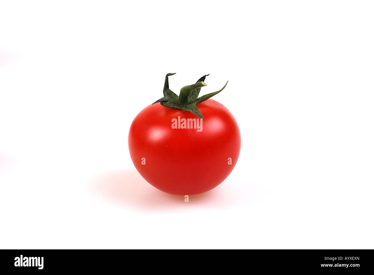 Une tomate Banque D'Images