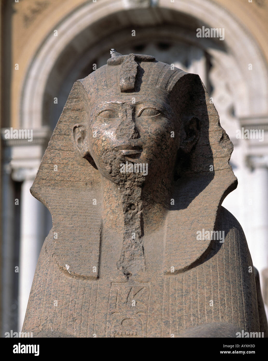Eingang Aegyptisches Museum, Sphinx, statue, Skulptur, Kairo, Unteraegypten Banque D'Images