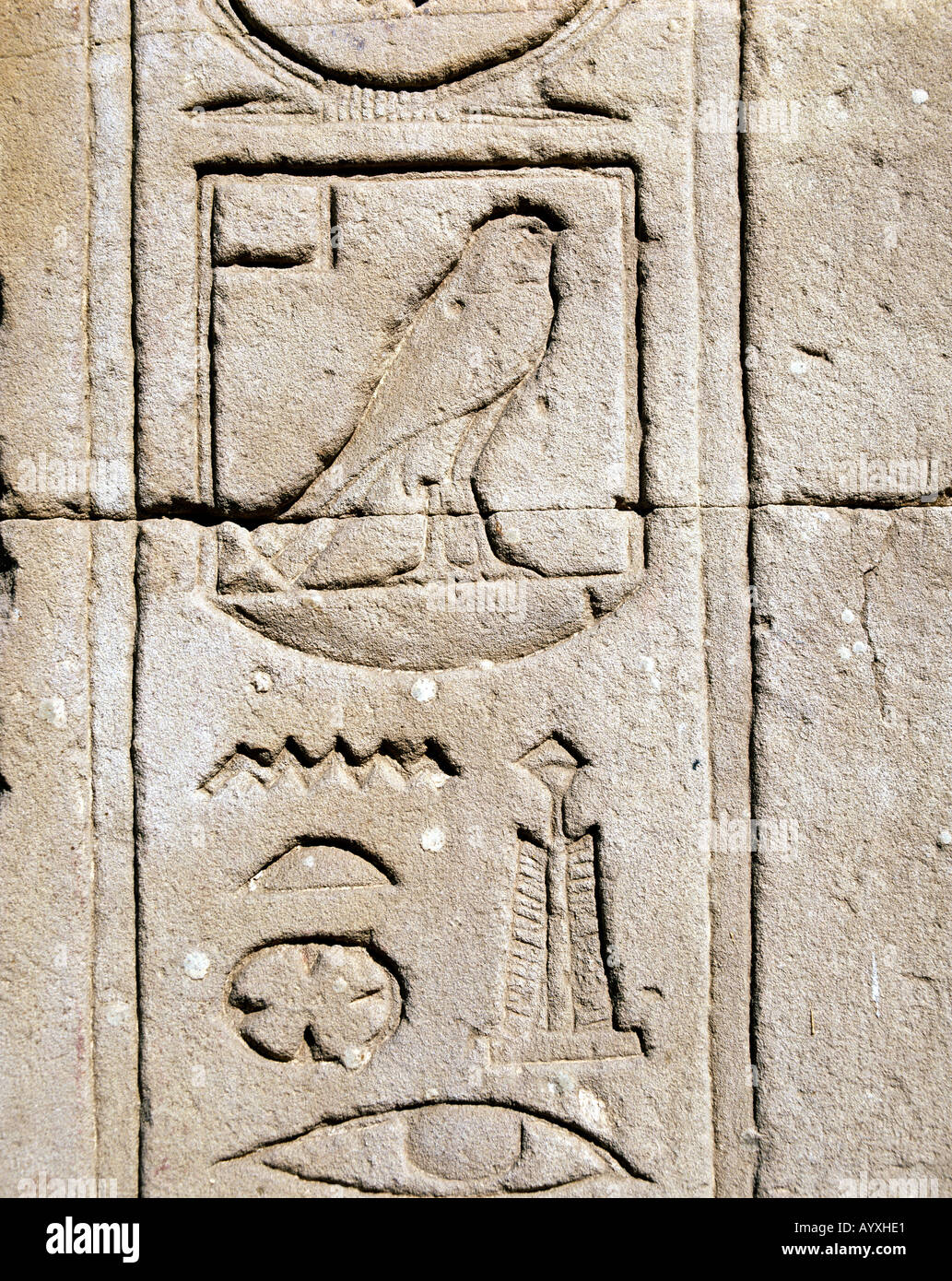 Horustempel Ausgrabungsstaette Ausgrabungen,,,,, Hieroglyphen Wandrelief Edfou, Oberaegypten Banque D'Images