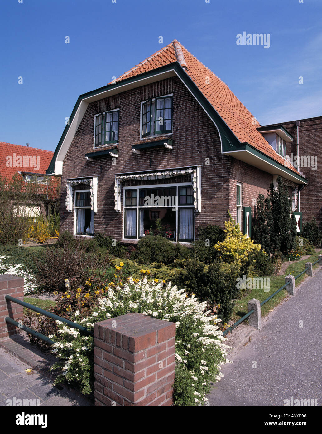 Einfamilienhaus mit Vorgarten, Rijnsburg, Suedholland, Niederlande Banque D'Images