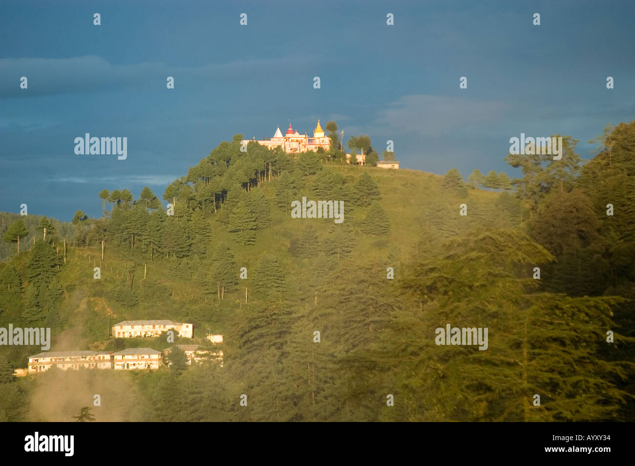 Colline de forêt verte illuminée par les rayons du soleil du matin avec des bâtiments à Shimla, capitale de l'Himachal Pradesh, Inde. Banque D'Images