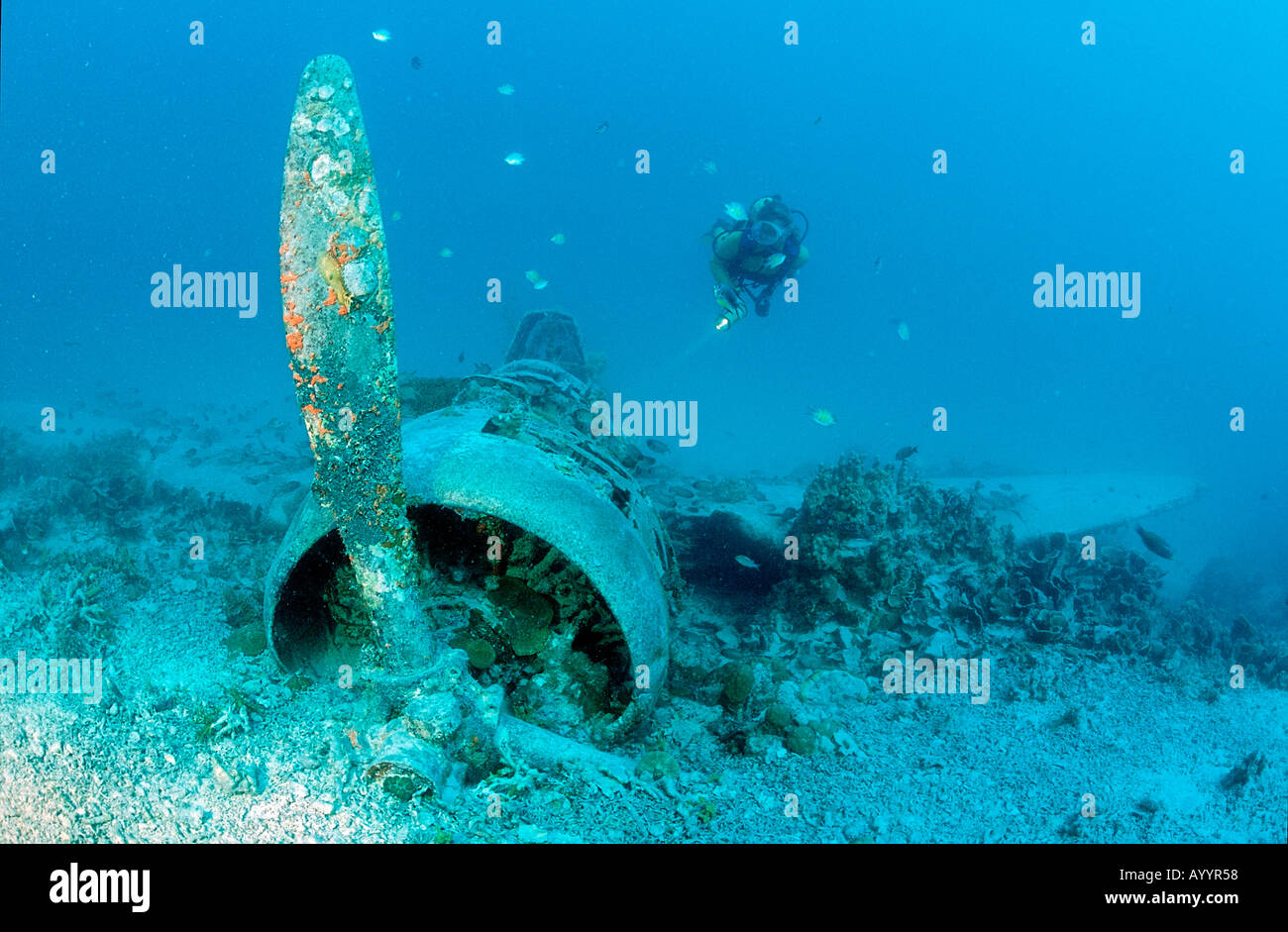 Avion coulé et de plongée sous marine de l'océan Pacifique Papouasie-Nouvelle-Guinée Banque D'Images