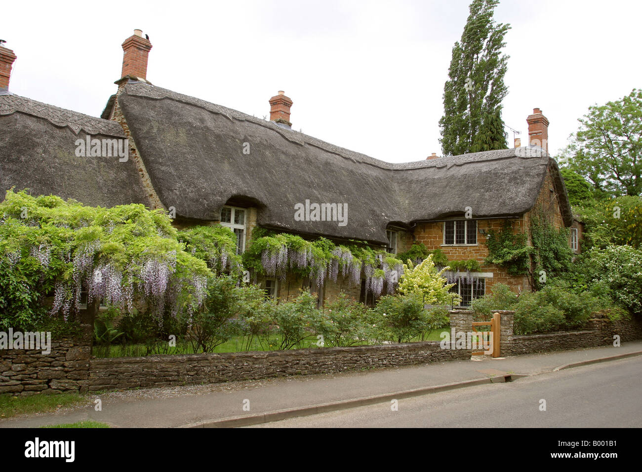 Oxfordshire Swerford Wisteria Cottage Pas de four recouvert Banque D'Images