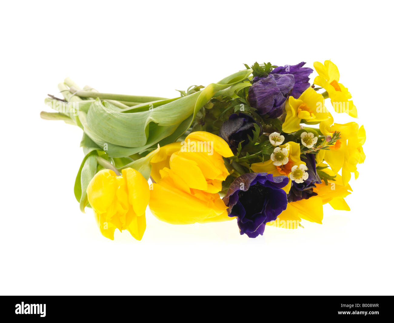 Bouquet lumineux frais ou un bouquet de fleurs de printemps colorés isolé sur un fond blanc avec un chemin de détourage et aucun peuple Banque D'Images