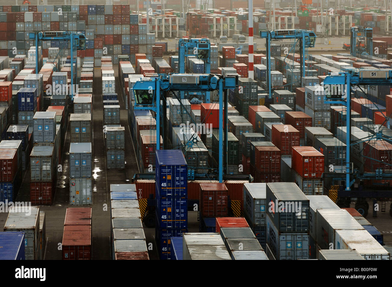 Port de Rotterdam terminal à conteneurs Maersk entièrement automatisé sur la Maasvlakte Banque D'Images