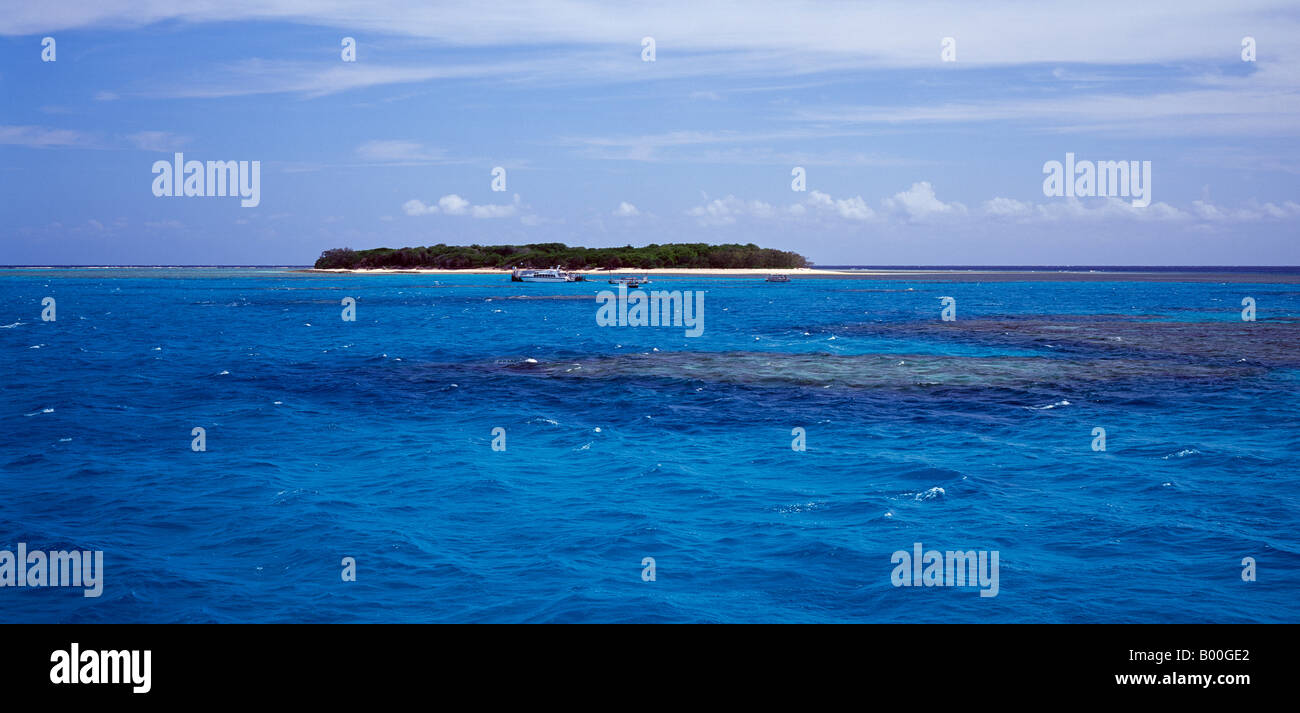 Lady Musgrave Island Capricornia Cays National Park Queensland Australie Grande Barrière de Corail Banque D'Images