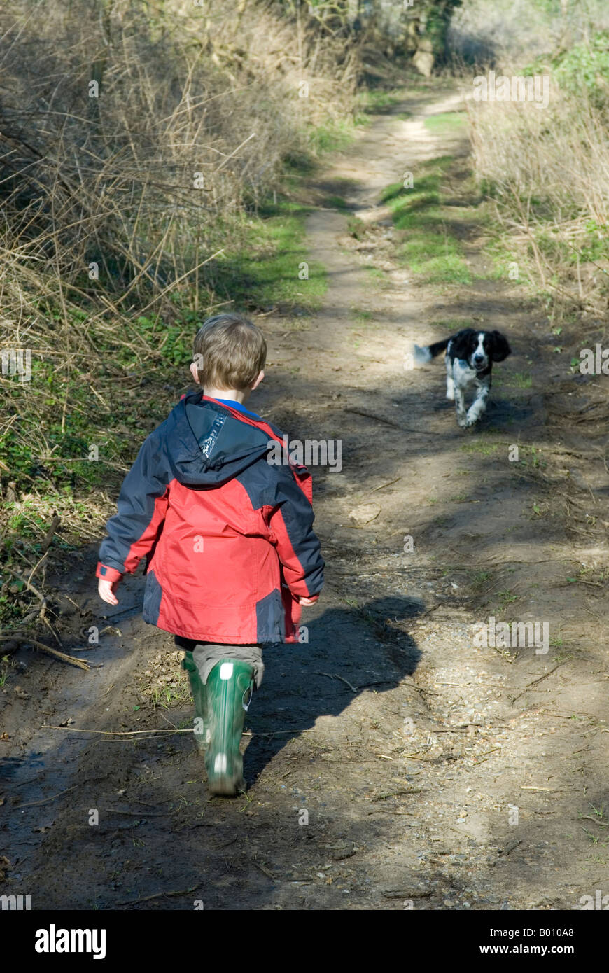 Jeune garçon sur pied avec son chien au Royaume-Uni Banque D'Images