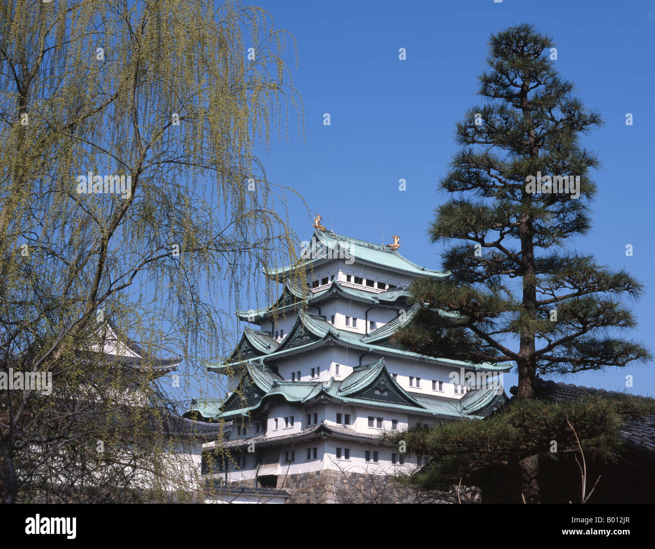 Château de Nagoya, Aichi Prefecture, Japan Banque D'Images