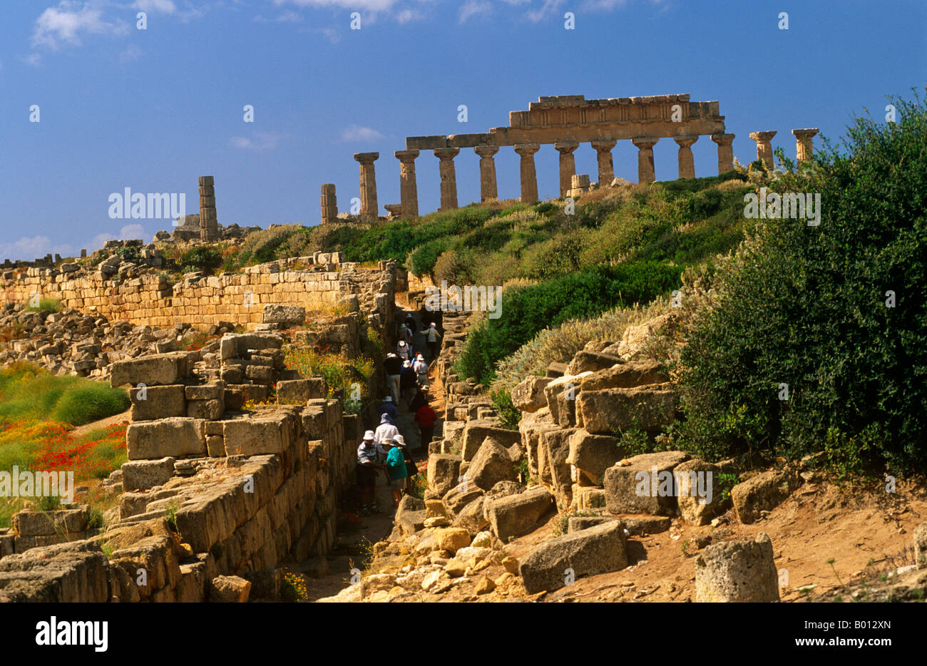 Italie, Sicile, Trapani. Selinunte est une ancienne ville grecque, avec les ruines d'une Acropole et de nombreux temples. Banque D'Images