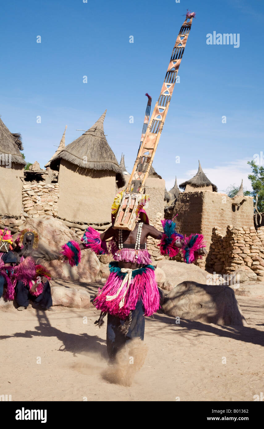 Mali, Pays Dogon, Tereli. Un danseur masqué portant les quinze mètres de haut masque Sirige gyrates au village Dogon de Tereli. Banque D'Images