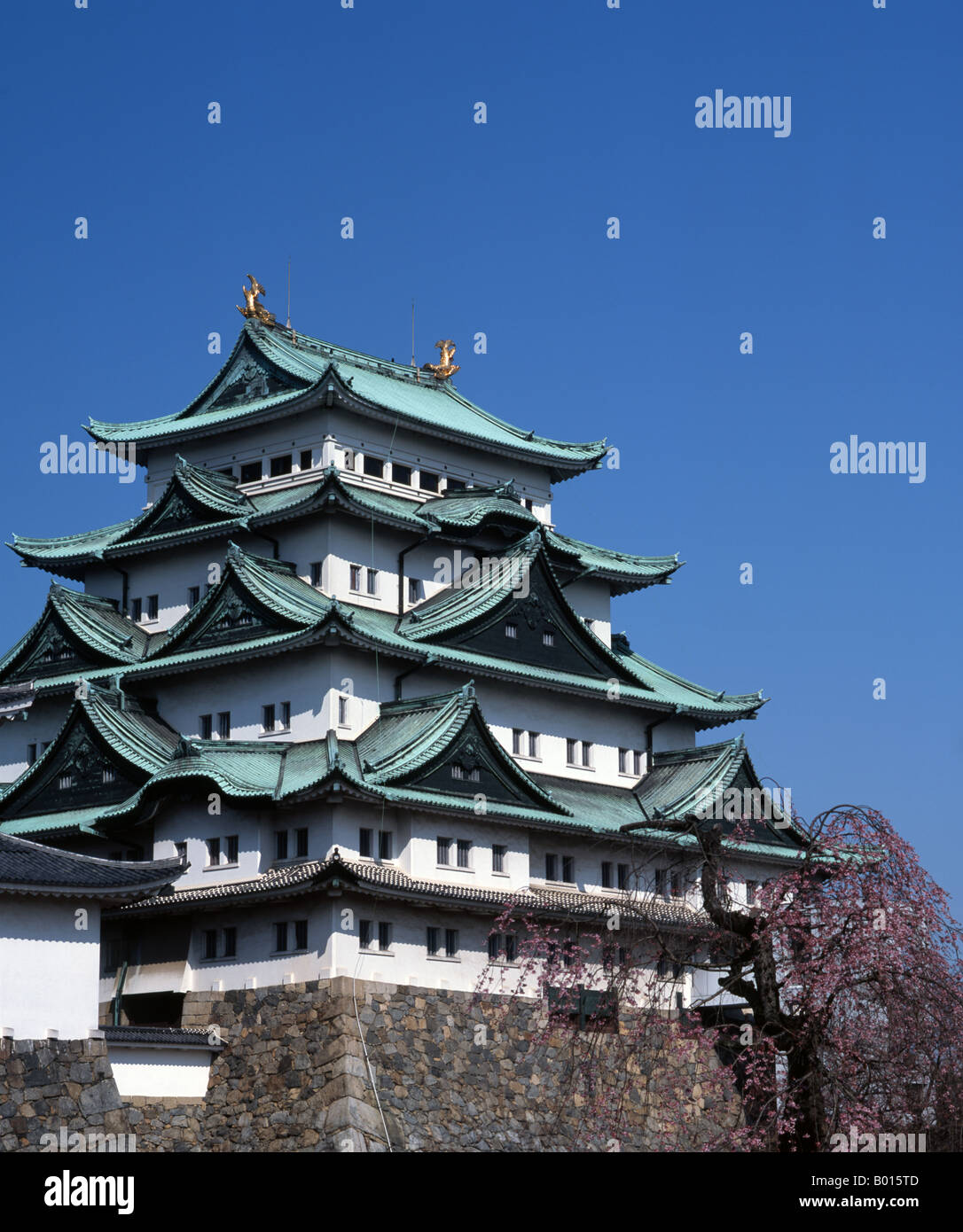 Château de Nagoya, Aichi Prefecture, Japan Banque D'Images