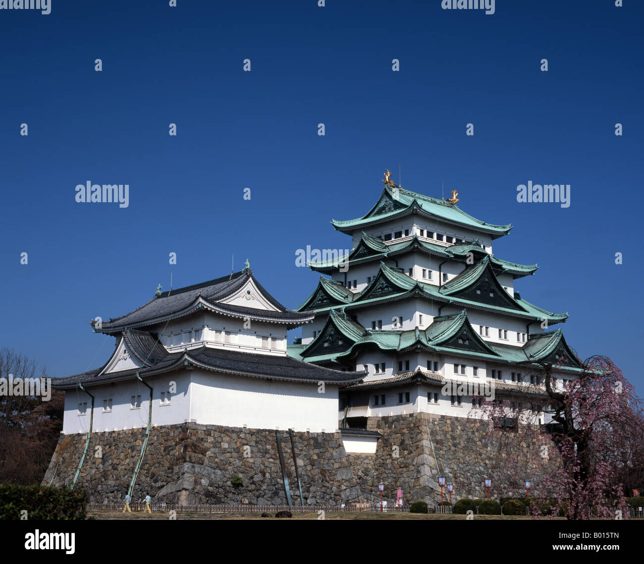 Château de Nagoya, Aichi Prefecture, Japan Banque D'Images