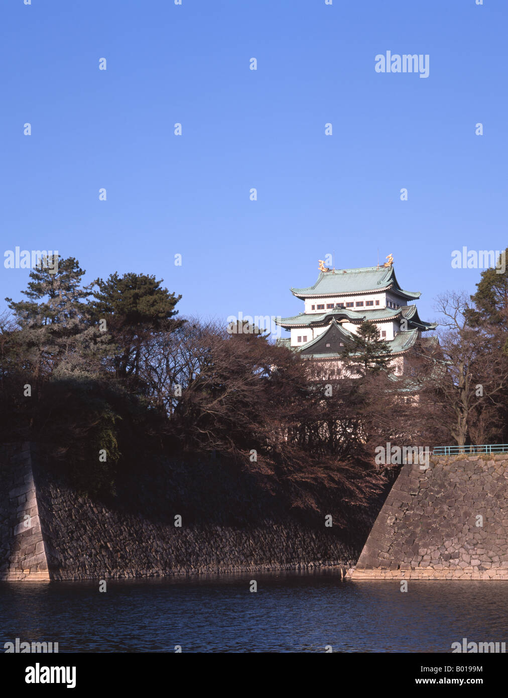 Château de Nagoya, Aichi Prefecture, Japan Banque D'Images