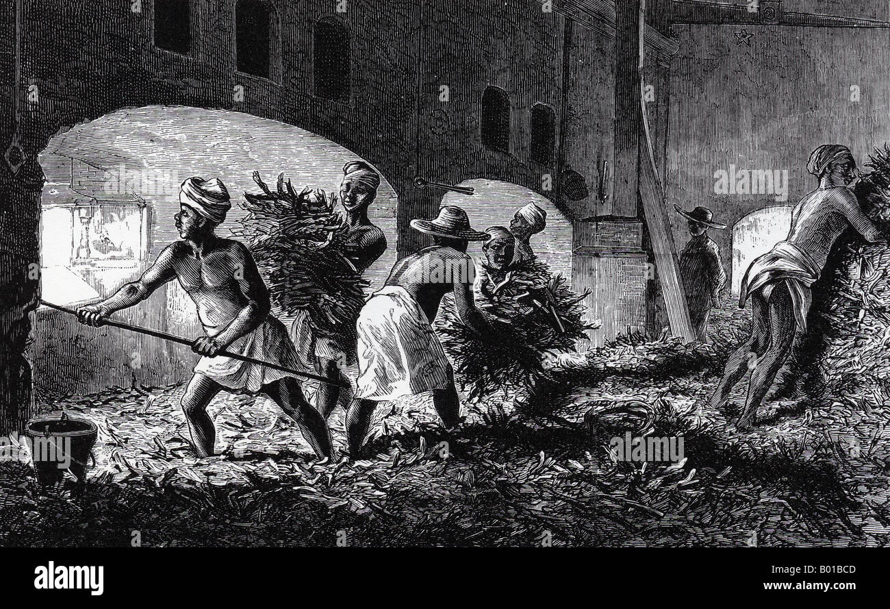 Esclaves sur une plantation de canne à sucre brésilienne sur l'alimentation 1830 canne broyée dans une fournaise vu par le vérificateur Banque D'Images