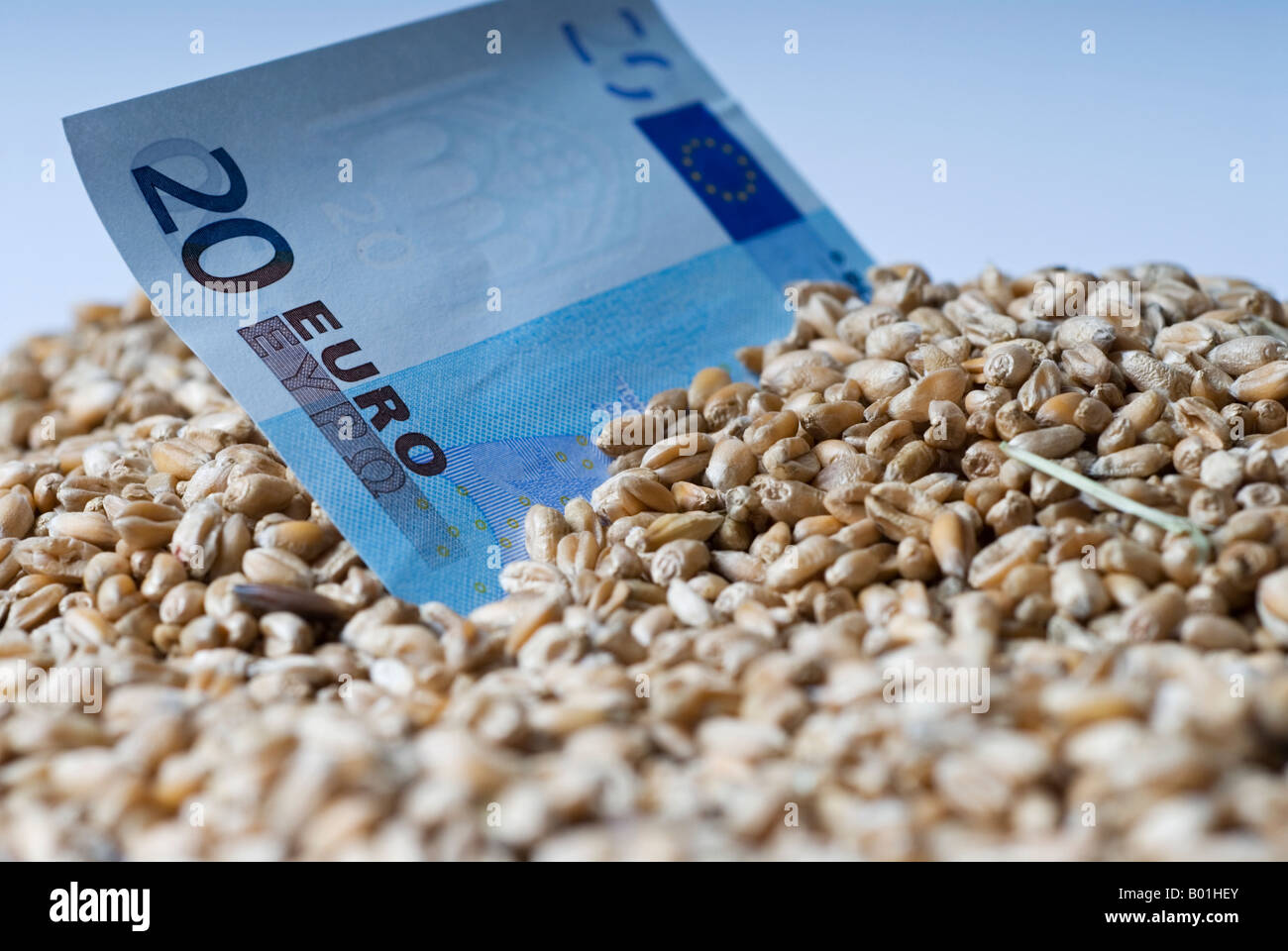 Stock photo d'un Twenty Euro note couché dans un tas de grains Banque D'Images
