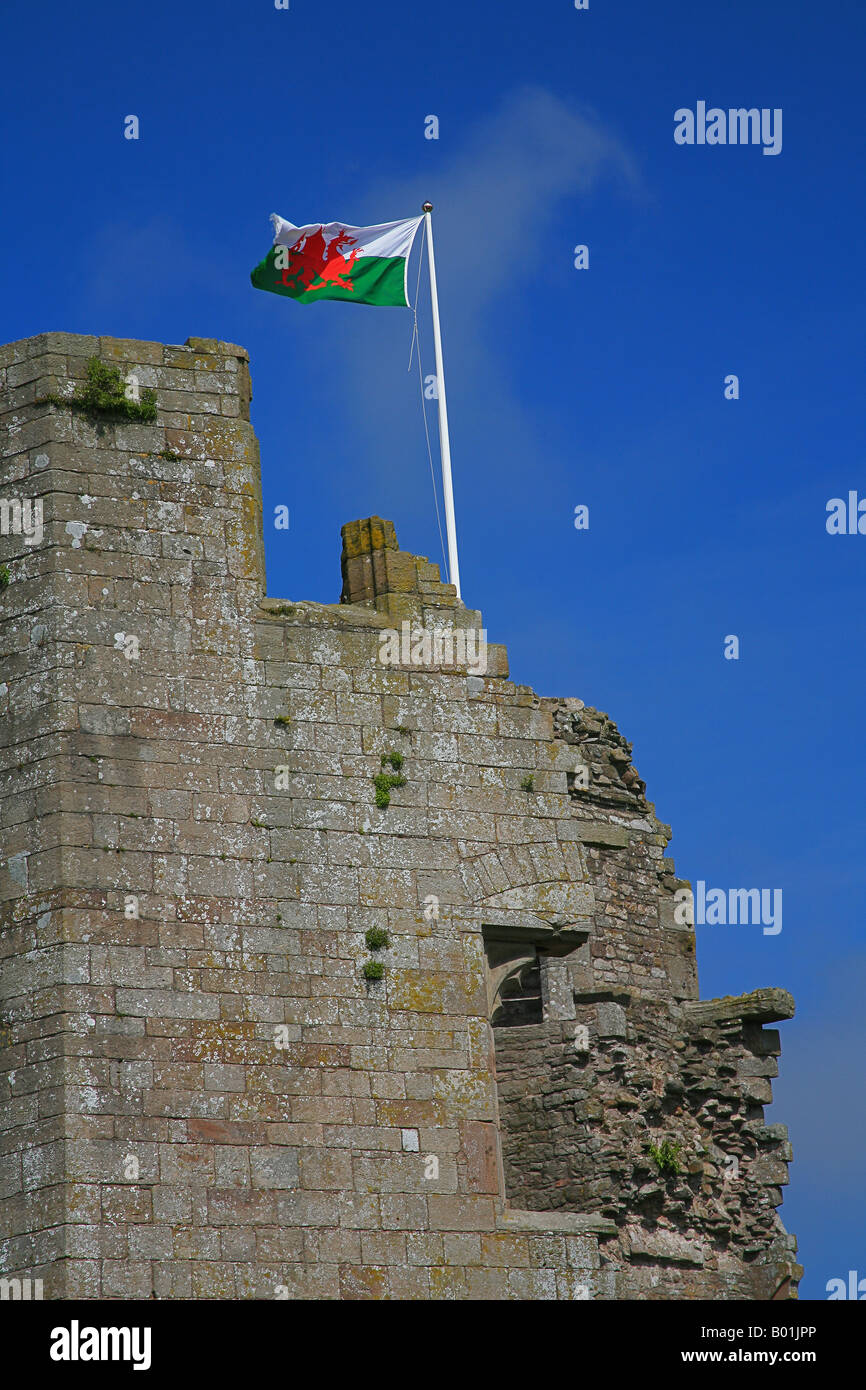 La Grande Tour et drapeau gallois à Raglan Castle Monmouthshire au Pays de Galles UK Banque D'Images