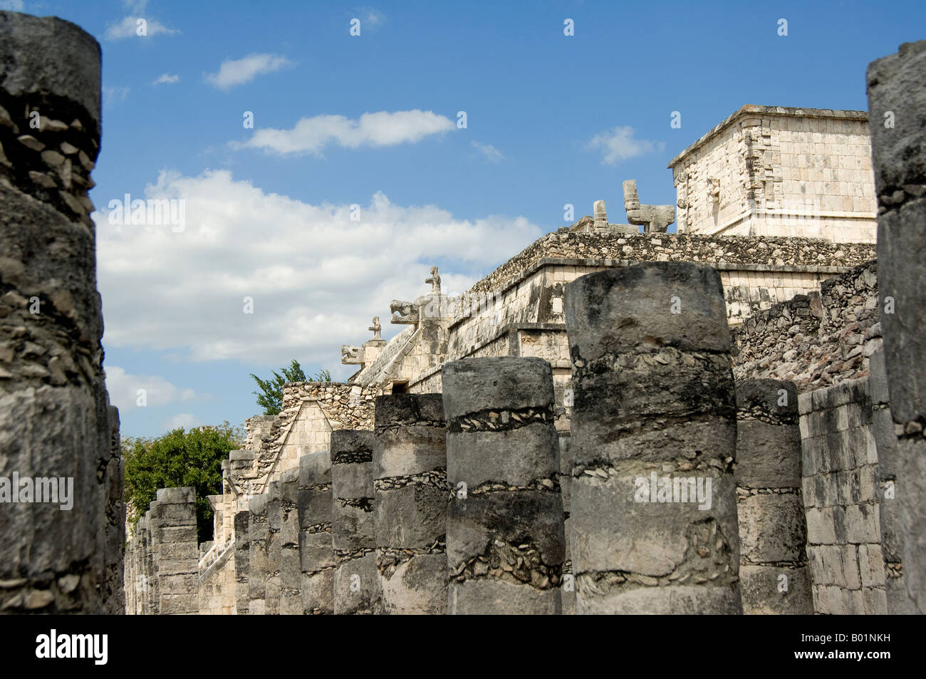 Chichen Itza, les ruines mayas, Yucatan Banque D'Images