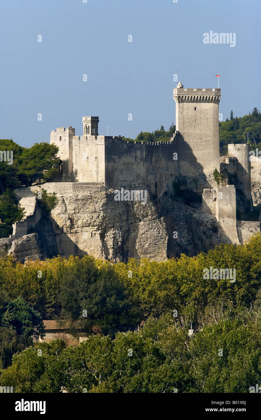 Le château de Beaucaire, Languedoc Roussillon, France ...
