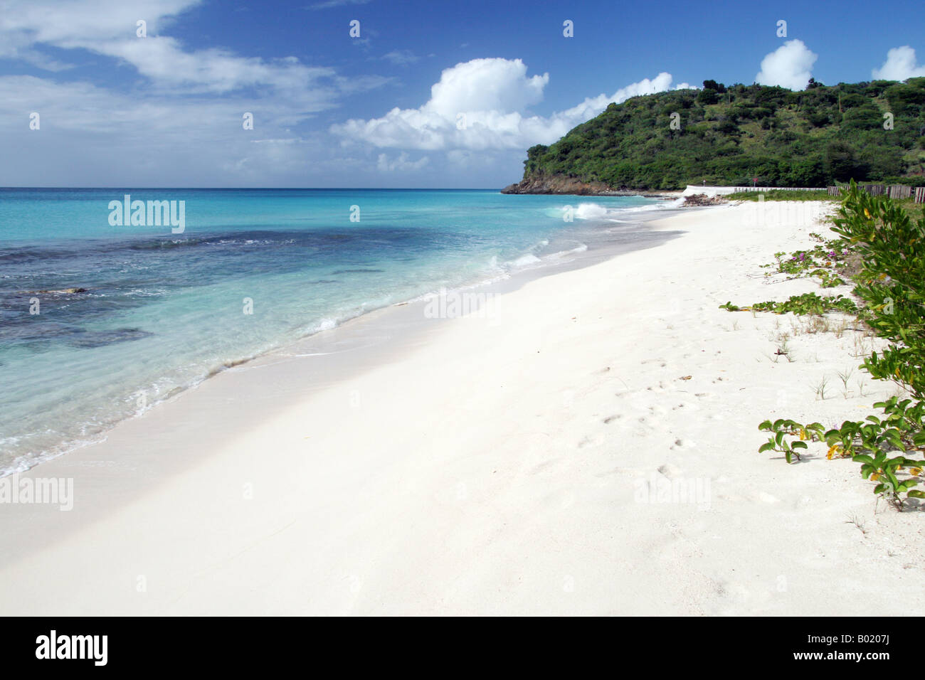 Plage de Darkwood, Caraïbes Antigua Banque D'Images