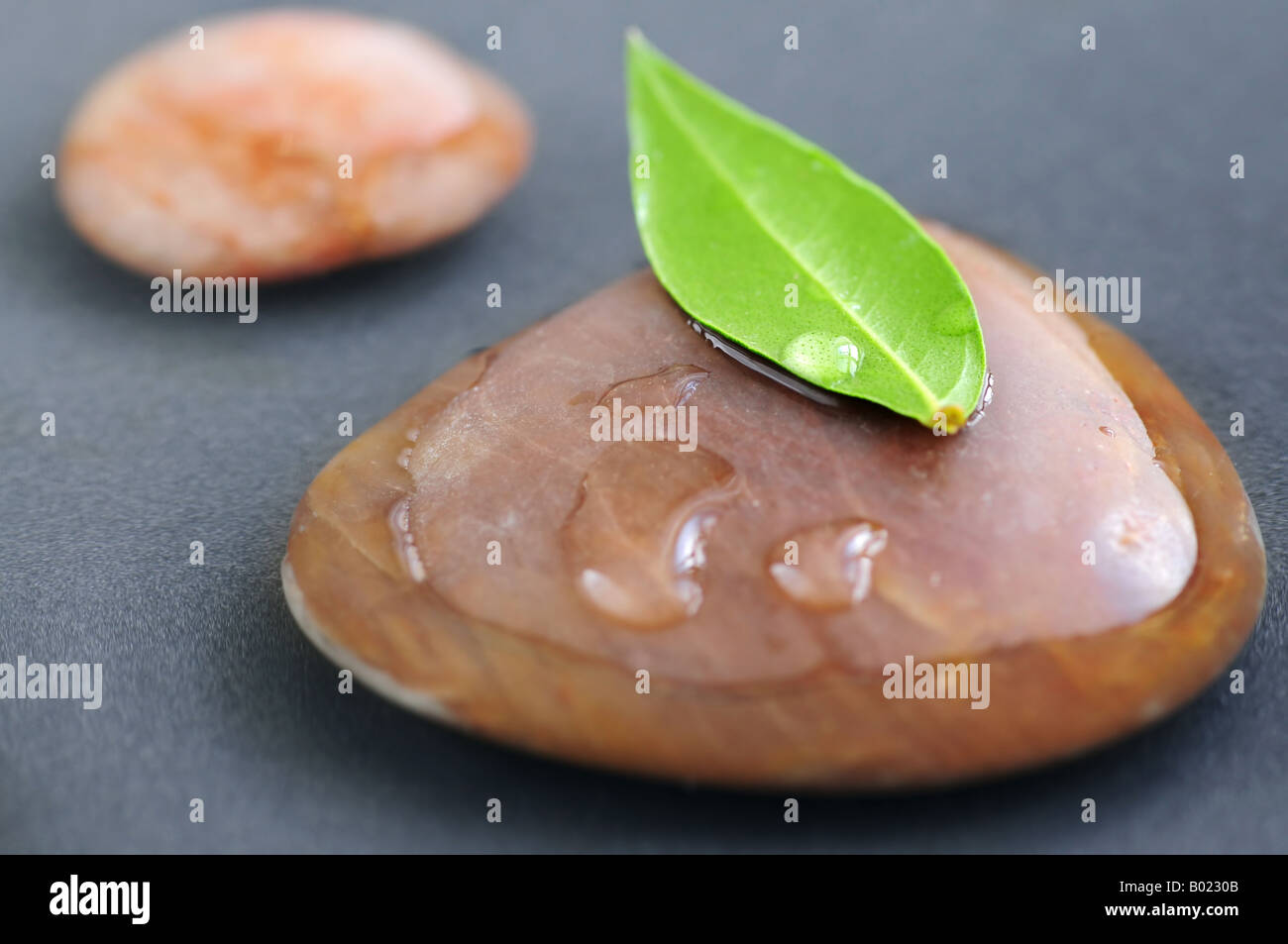 Pierres Zen submergé dans l'eau avec des feuilles vertes Banque D'Images