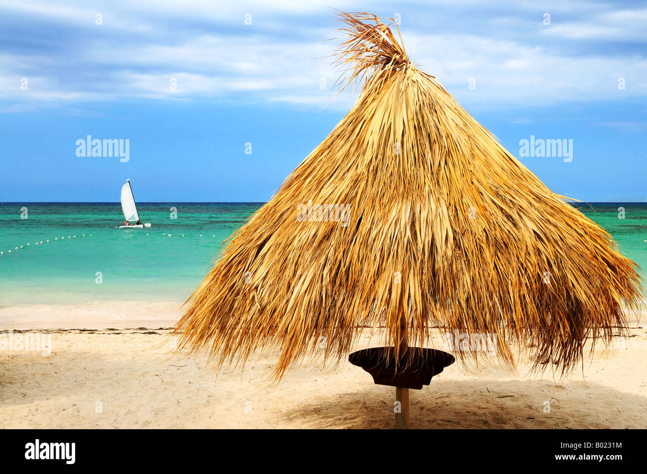 Plage tropicale d'une île des Caraïbes avec des branches de palmier refuge Banque D'Images