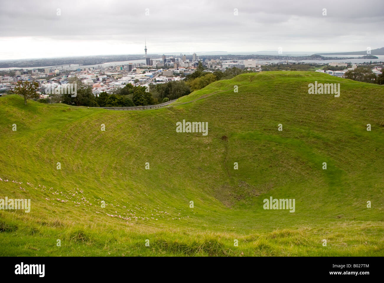 Auckland city view from Mt Eden cratère volcanique Nouvelle Zélande Banque D'Images