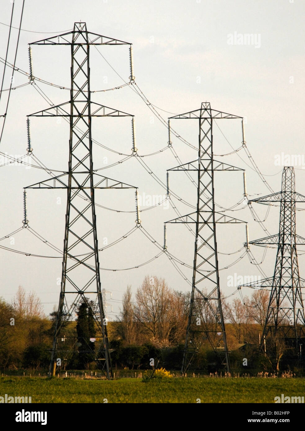 Les lignes électriques à haute tension sur un champ avec les pylônes d'ho rizon 3/3 Banque D'Images