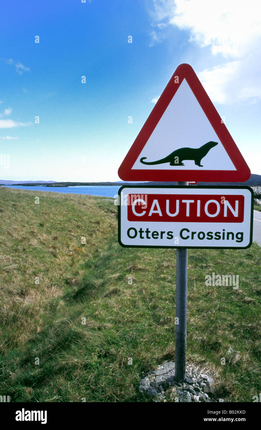 Faune Sign Attention les loutres traversant le panneau de signalisation Banque de ...