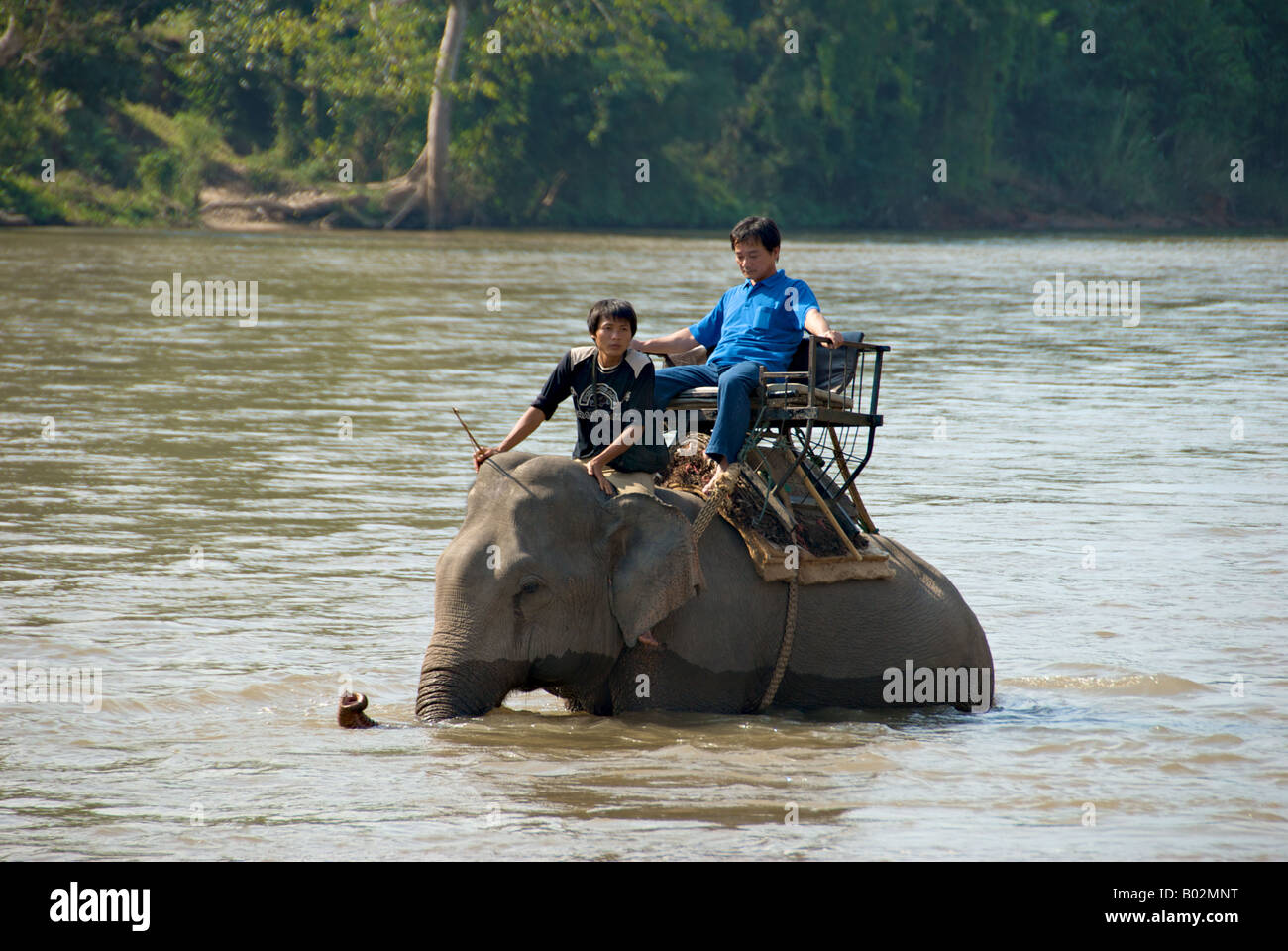 Tourisme local sur tour d'éléphant dans la rivière Mae Nam Kok River Chiang Saen, province de Chiang Rai dans le Nord de la Thaïlande Banque D'Images Tourisme local sur tour d'éléphant dans la rivière Mae Nam Kok River Chiang Saen, province de Chiang Rai dans le Nord de la Thaïlande Banque D'Images