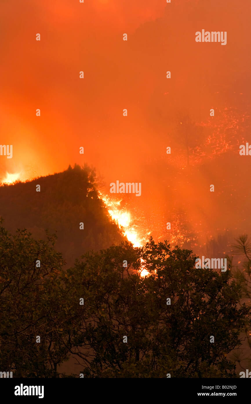 50 000 hectares de forêt de la Californie à Henry Coe State Park au sud de San Jose est battu par CAL Fire CDF Banque D'Images