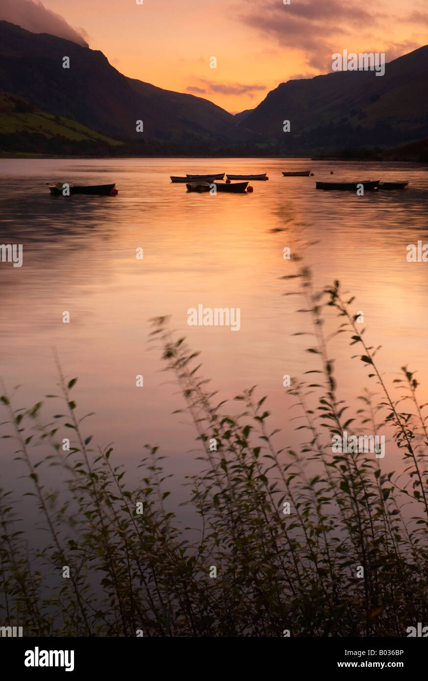 L'aube sur Tal y Llyn Lake dans la région de Snowdonia, Pays de Galles UK Banque D'Images