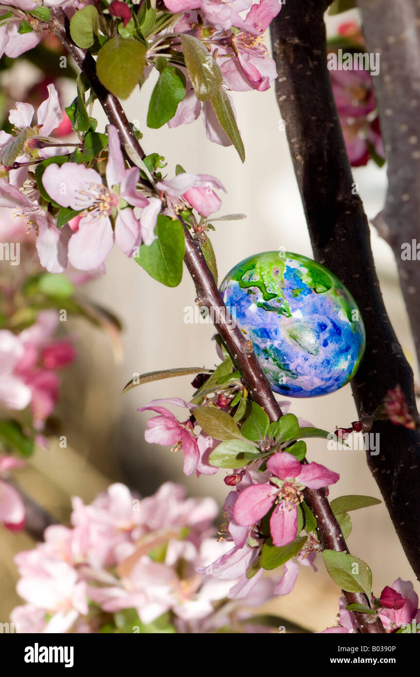 Un bleu, vert et violet oeuf de Pâques est caché dans les branches d'un pommier en fleurs. Banque D'Images