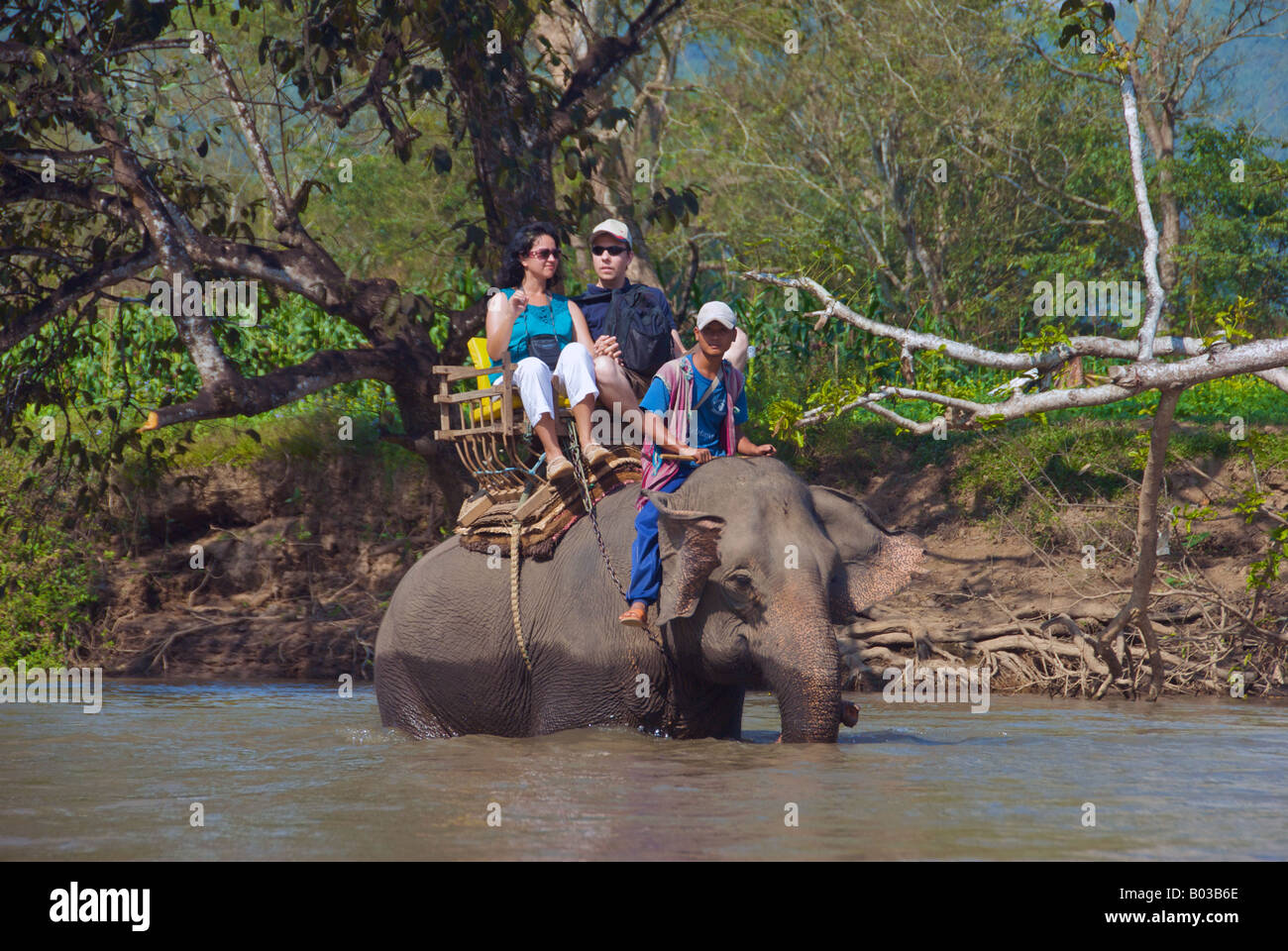 Les touristes en promenade à dos d'éléphant dans la rivière Mae Nam Kok River Chiang Saen, province de Chiang Rai dans le Nord de la Thaïlande Banque D'Images Les touristes en promenade à dos d'éléphant dans la rivière Mae Nam Kok River Chiang Saen, province de Chiang Rai dans le Nord de la Thaïlande Banque D'Images