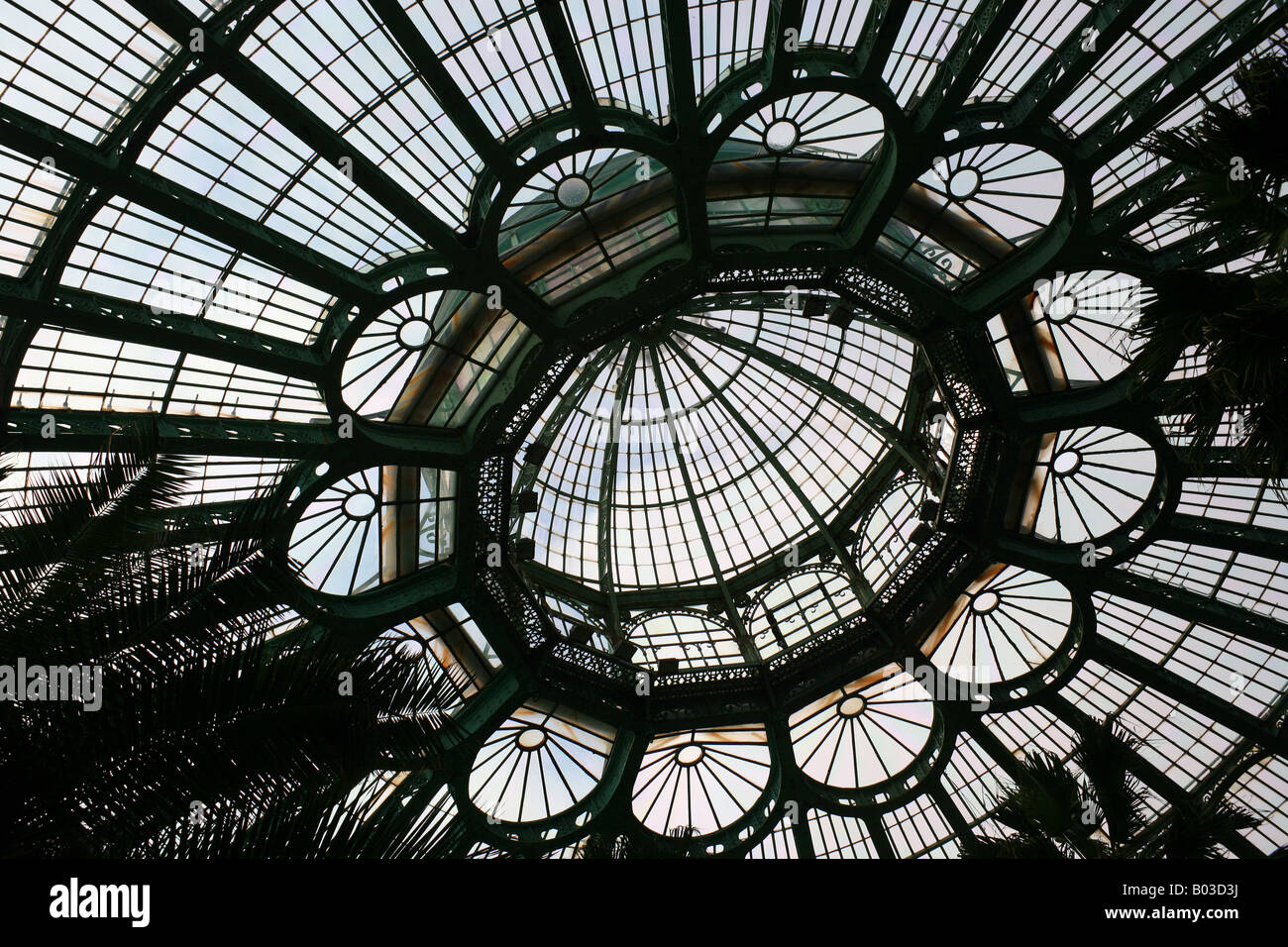 L'intérieur de l'hiver, les Serres Royales de Laeken, Bruxelles, Belgique, - l'architecte Alphonse Balat Banque D'Images