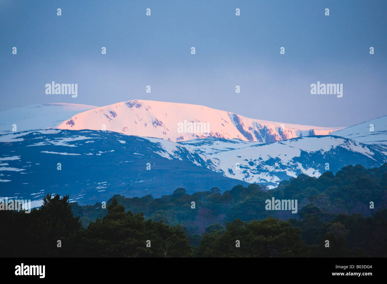 Paysage du printemps écossais d'avril ; neige illuminée tôt le matin au-dessus de Ben Mcdui ou Macdui dans le parc national de Cairngorms, en Écosse, au Royaume-Uni Banque D'Images