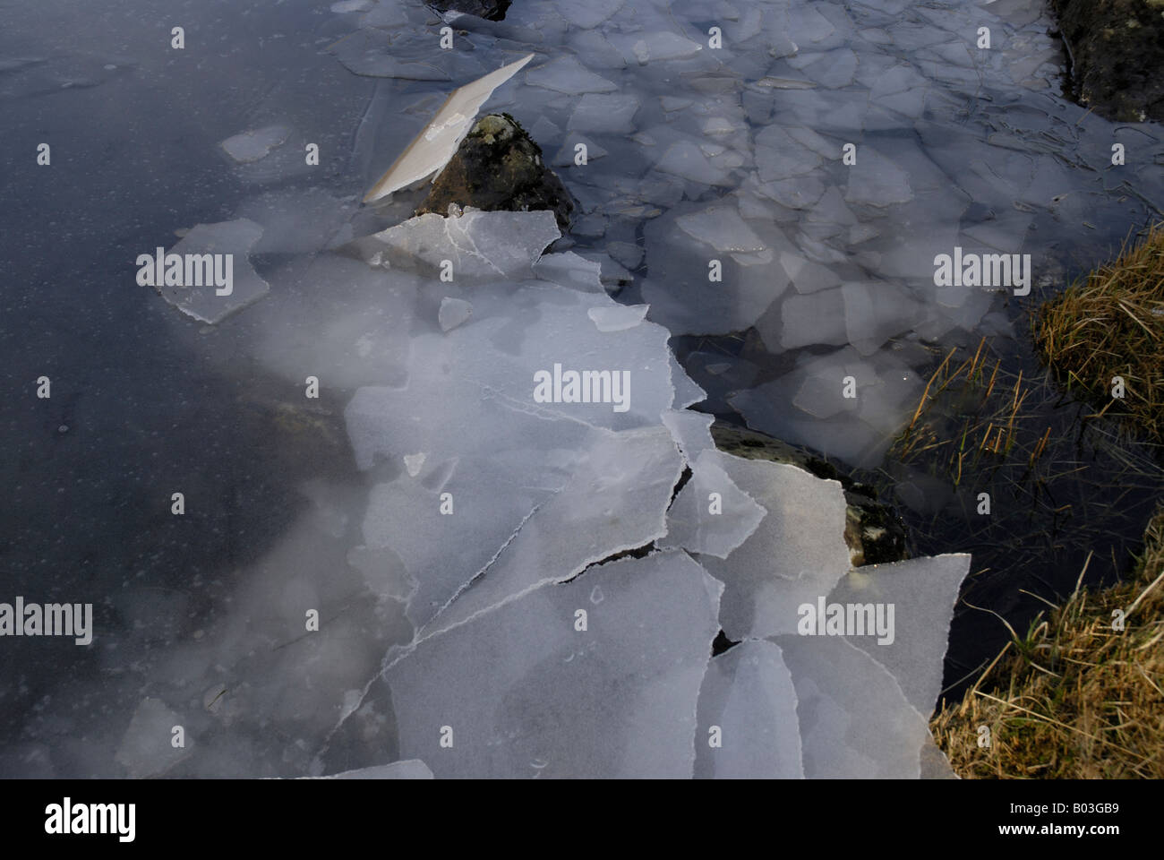 Casse la glace hivernale sur l'étang au nord du Pays de Galles UK Banque D'Images