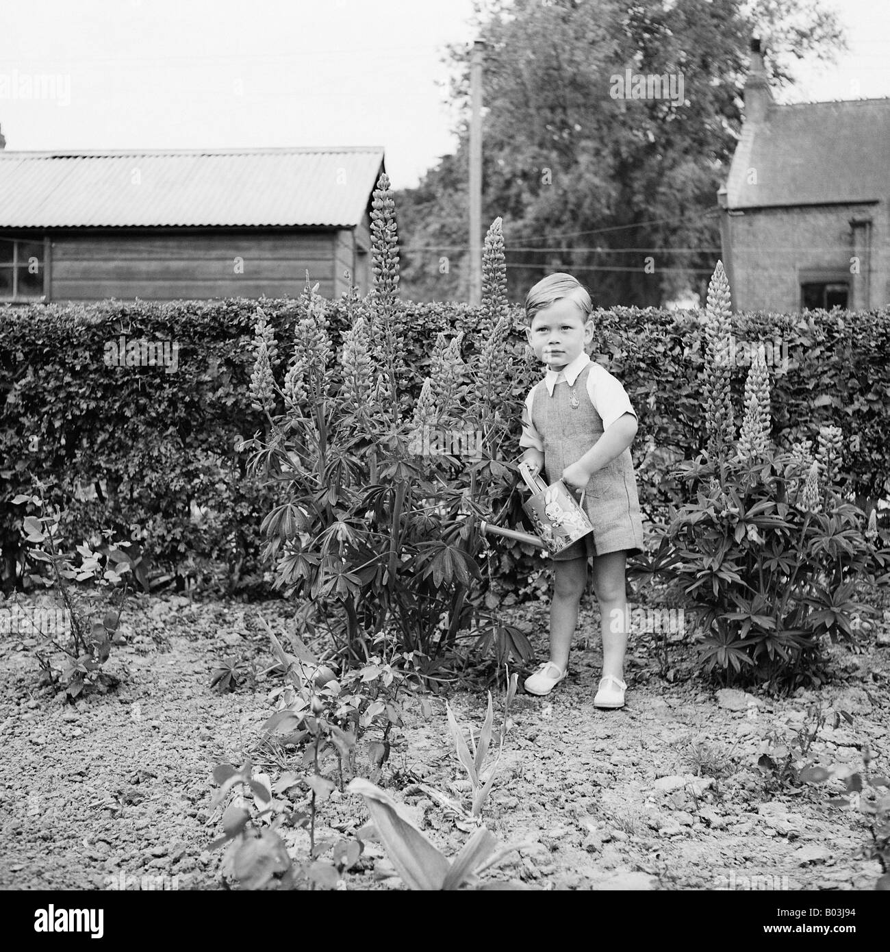OLD VINTAGE SNAPSHOT FAMILLE PHOTOGRAPHIE DE jeune garçon dans l'arrosage des plantes de jardin à l'ARROSOIR Banque D'Images