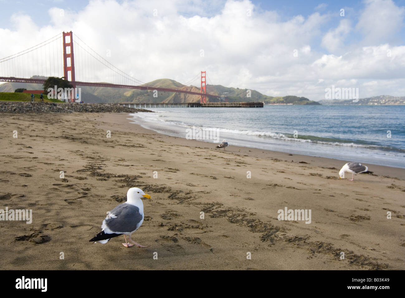 Le golden gate bridge Banque D'Images