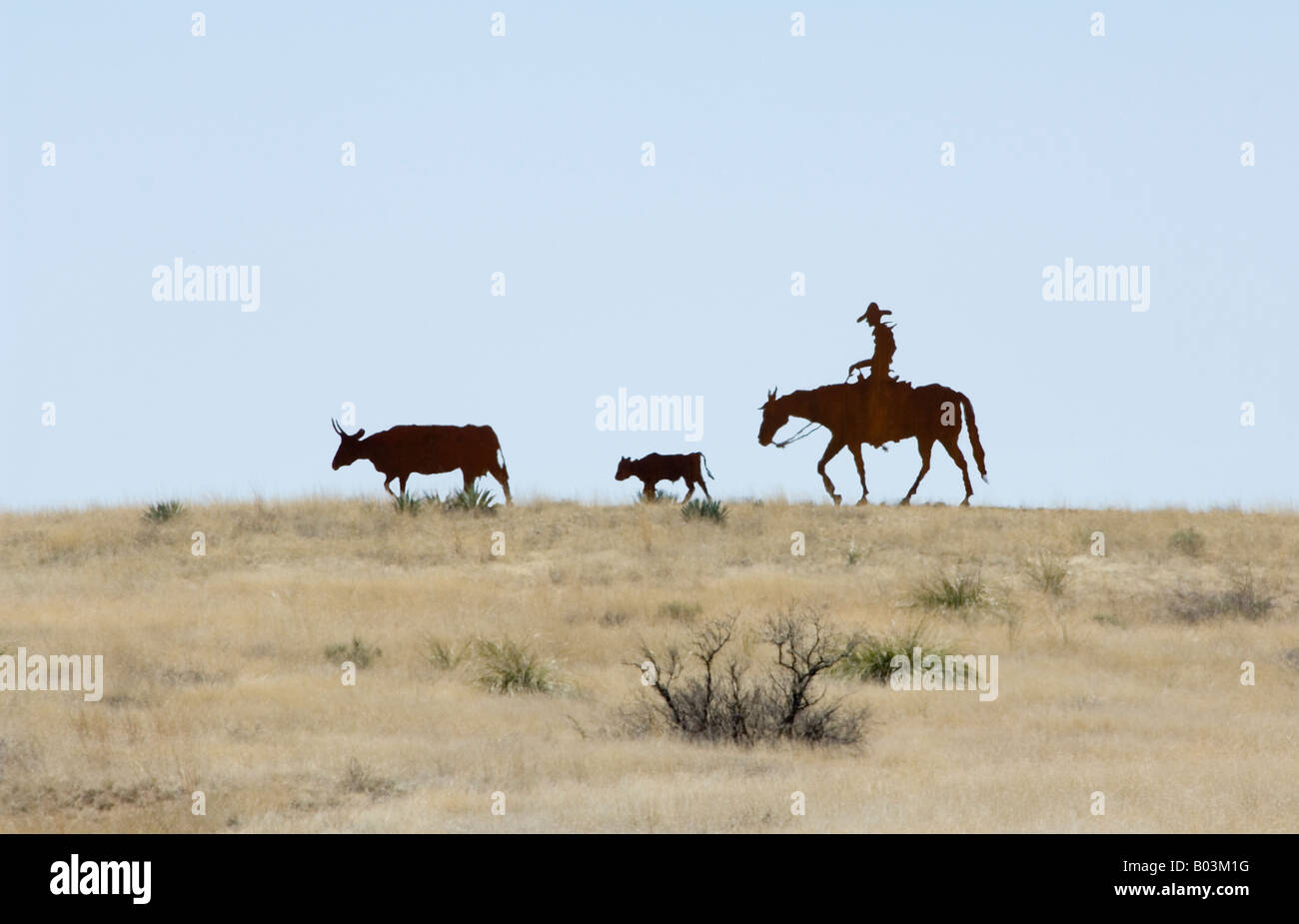 Cowboy et découper le bétail près de Patagonie Arizona USA Banque D'Images