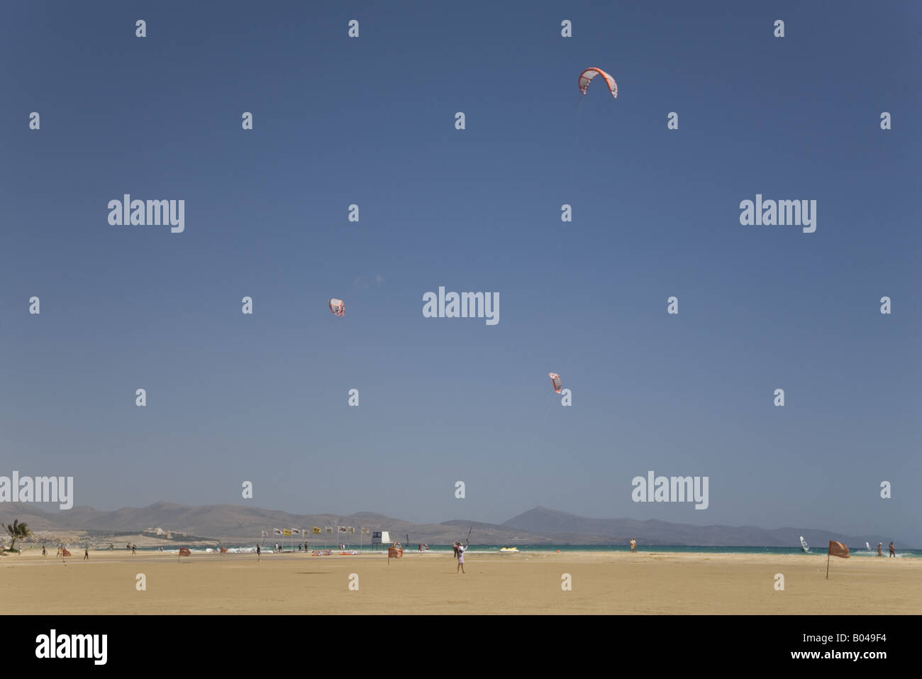Kite surf sur la plage de la Barca, Playa Jandia Sotavento, Fuerteventura, Canaries, Espagne, Banque D'Images